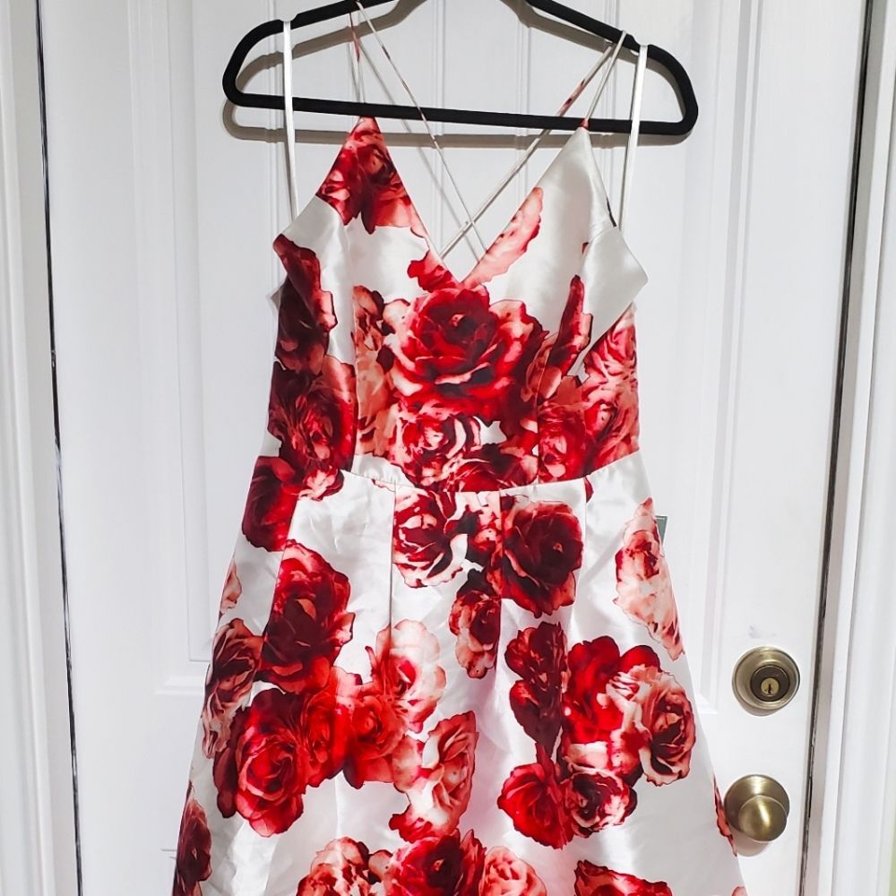 By & By prom dress size 13
